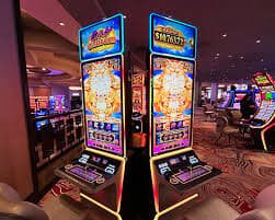 365 win bet