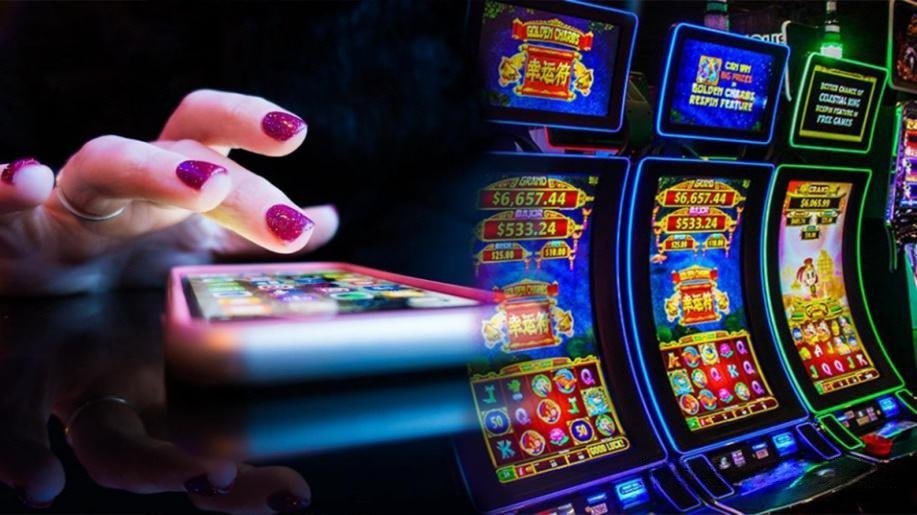 365 win bet
